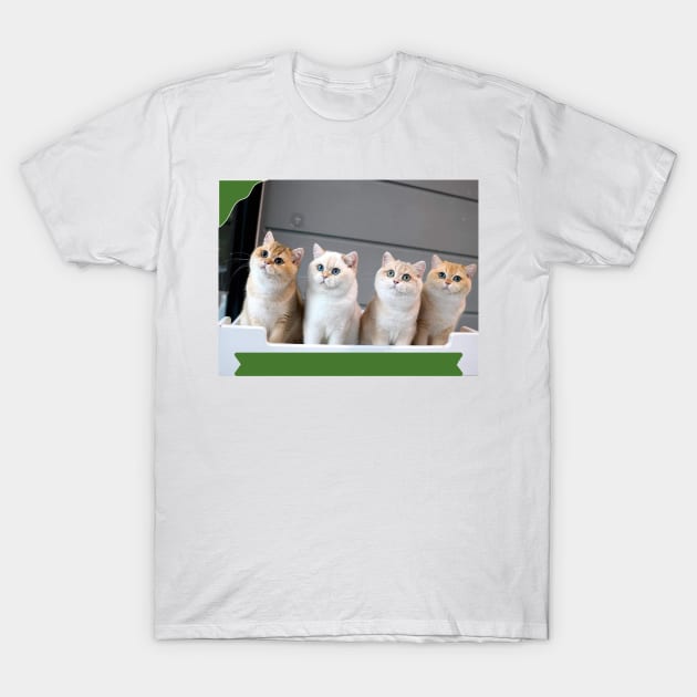 The chubby cats gangs T-Shirt by kunasin